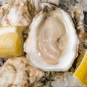 fresh oyster-Raw Bar by Slapfish-Huntington Beach-CA
