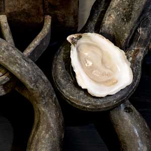 best oyster food-Raw Bar by Slapfish-Huntington Beach-CA