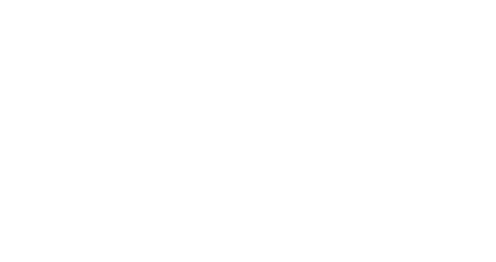 SeaSalt Honky Tonk logo