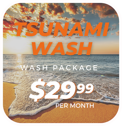 Tsunami Wash