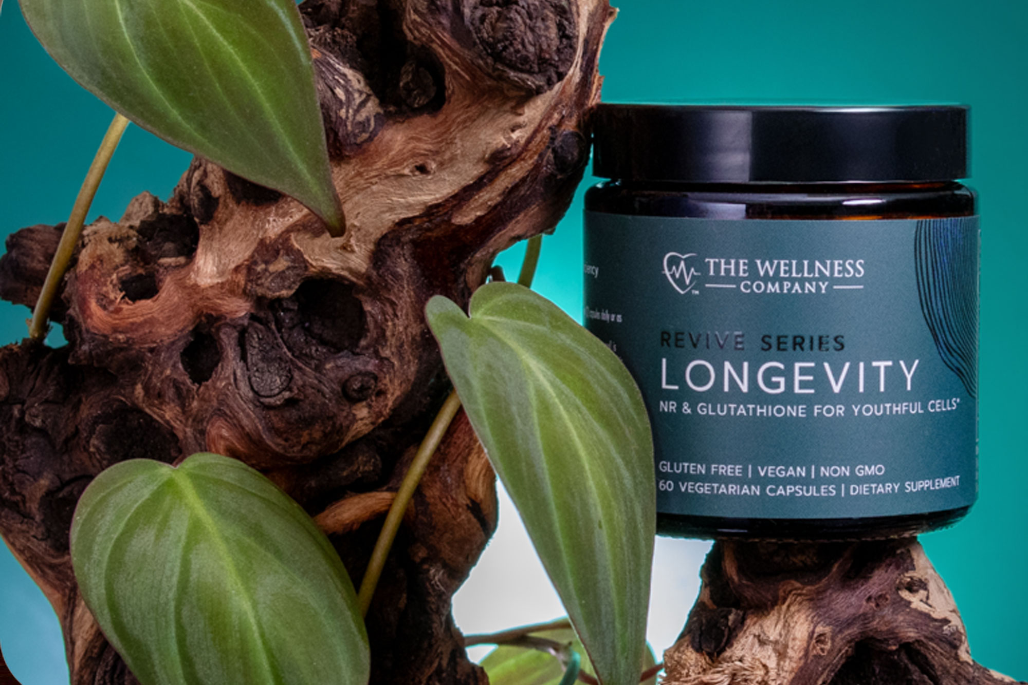 The Wellness Company