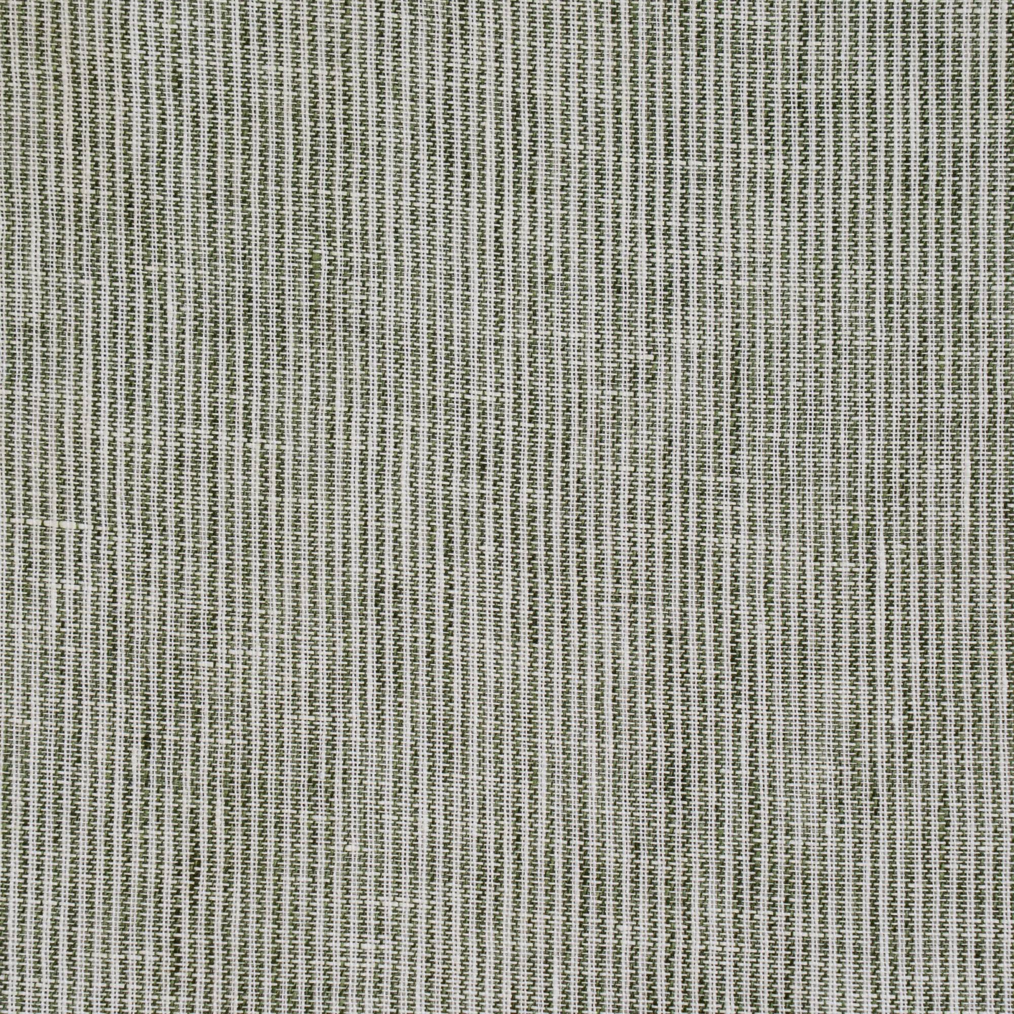 CLOVIS - OLIVE