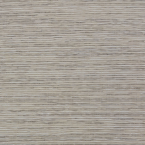 Zurich-Papyrus