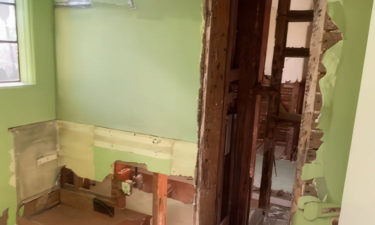 Salt Haus Design Studio Logo