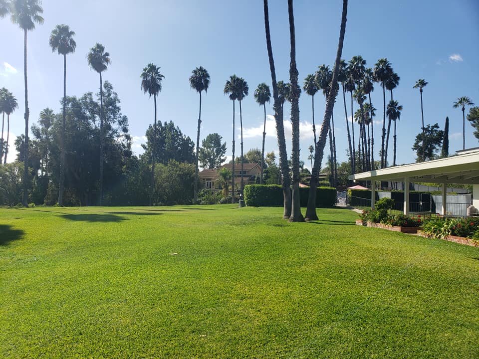 Lawn Area